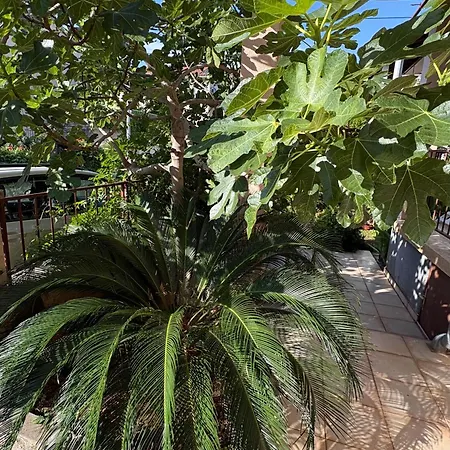 Nera Apartment
