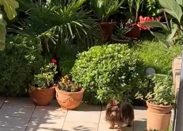 דירה Nera וודיצה